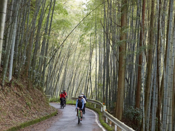 E-bike行程