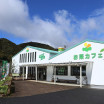 Satoen Tea Cafe
