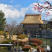 Tea Museum, Shizuoka