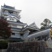 Yoshida City and Koyama Castle Tower