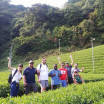 Moriuchi Tea Farm