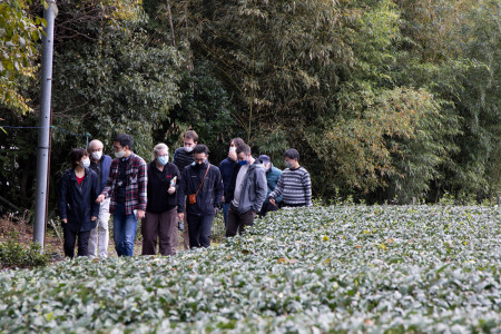 A tour through Aitoen's tea fields.