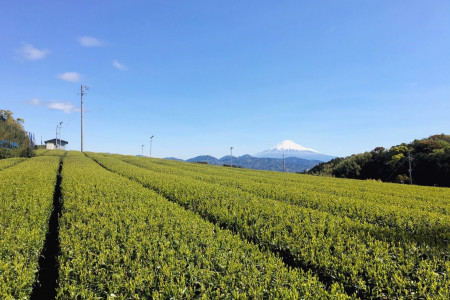 Maruichi Mizuno Tea Farm