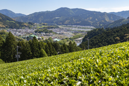 川の茶エリア