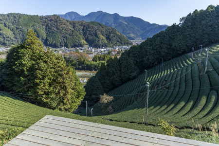 Ashikubo Teaworks