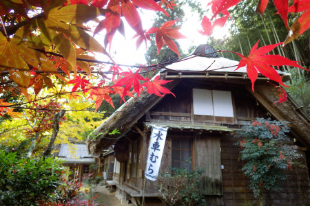 Country Life Experiences at an Old Waterwheel Village