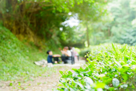 HARERUUYA　茶畑cafe