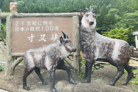 The entrance to Sumata Gorge is up ahead.