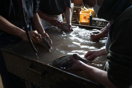 Yamato Masuda Shoten