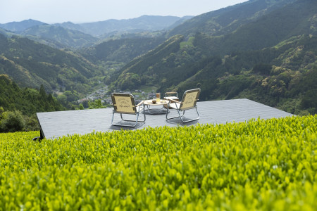 Tea Terrace Ichinose