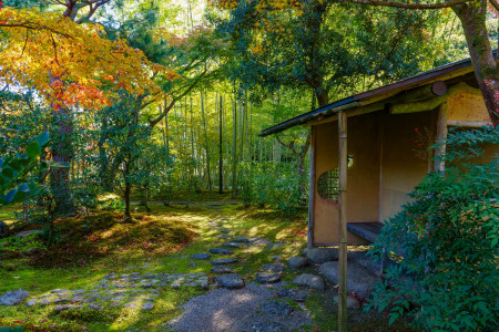 家康が愛した茶の文化を巡る旅