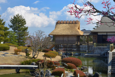 Tea Museum, Shizuoka