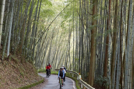 富士山を望む中山間地の茶畑をE-bikeツアー