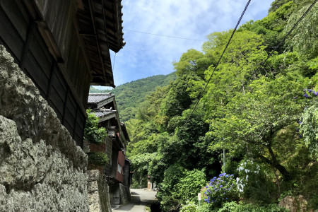 到花澤之里探訪古老日本