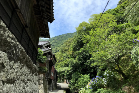 花沢の里を訪れ、いにしえの日本を感じてみよう