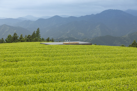 Ihachi Farm