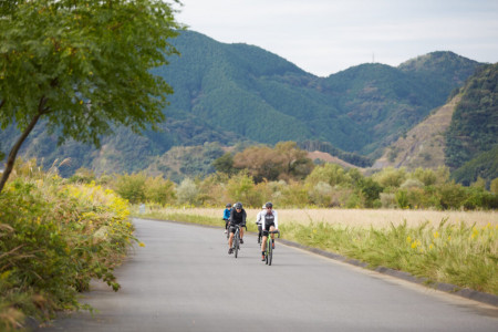 "Omotenashi E-bike Tour" experience at Ashikubo Tea House