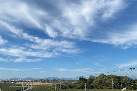 お茶の向笠園（むかさえん）