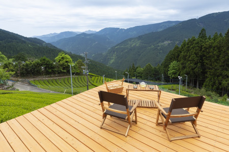 Kawane Tsuchiya Tea Farm