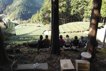 A spot in the shade to gaze over Shidajima's tea terraces.