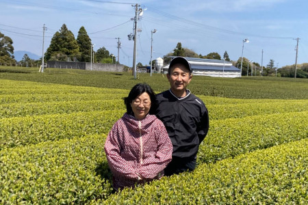 牧之原山本園