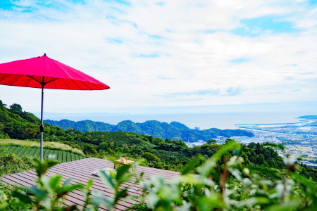 HARERUUYA　茶畑cafe