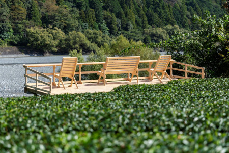 おいしいお茶の相藤園