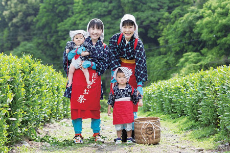 Maruichi Mizuno Tea Farm