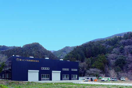 葉っピイ向島園の茶葉加工棟