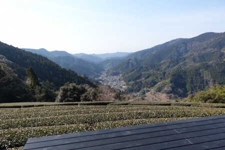 日の光が茶葉に良い香りを与える