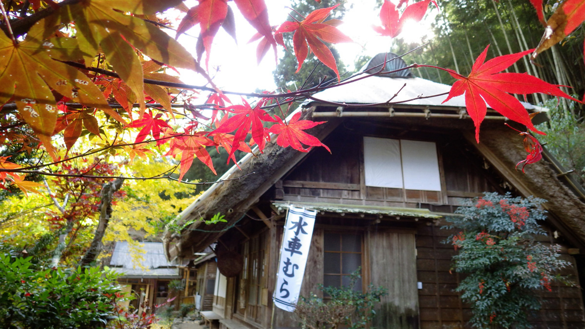 駿河を訪れる時期