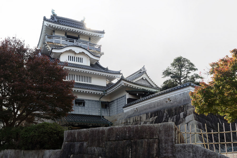 Yoshida City and Koyama Castle Tower