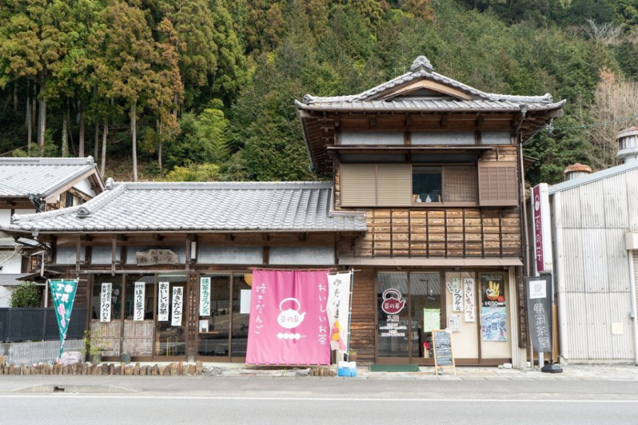 茶の芽