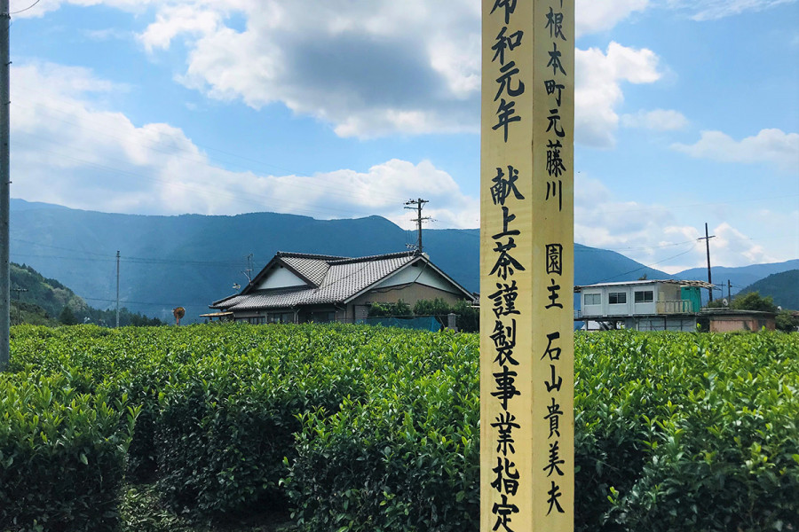 山香荘茶園