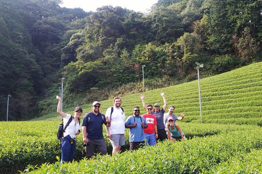 森内茶農園の茶畑を巡るツアー