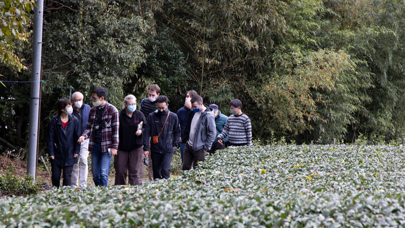 A tour through Aitoen's tea fields.