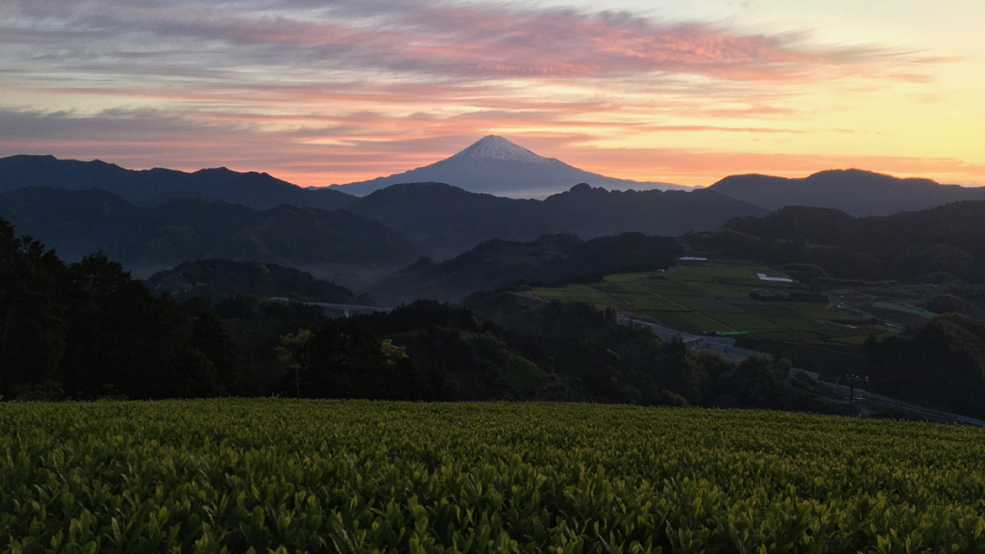 Murakami Tea Garden is beautiful at any time of the day.