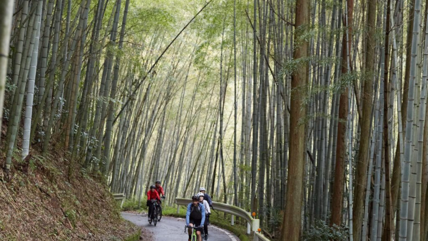 富士山を望む中山間地の茶畑をE-bikeツアー