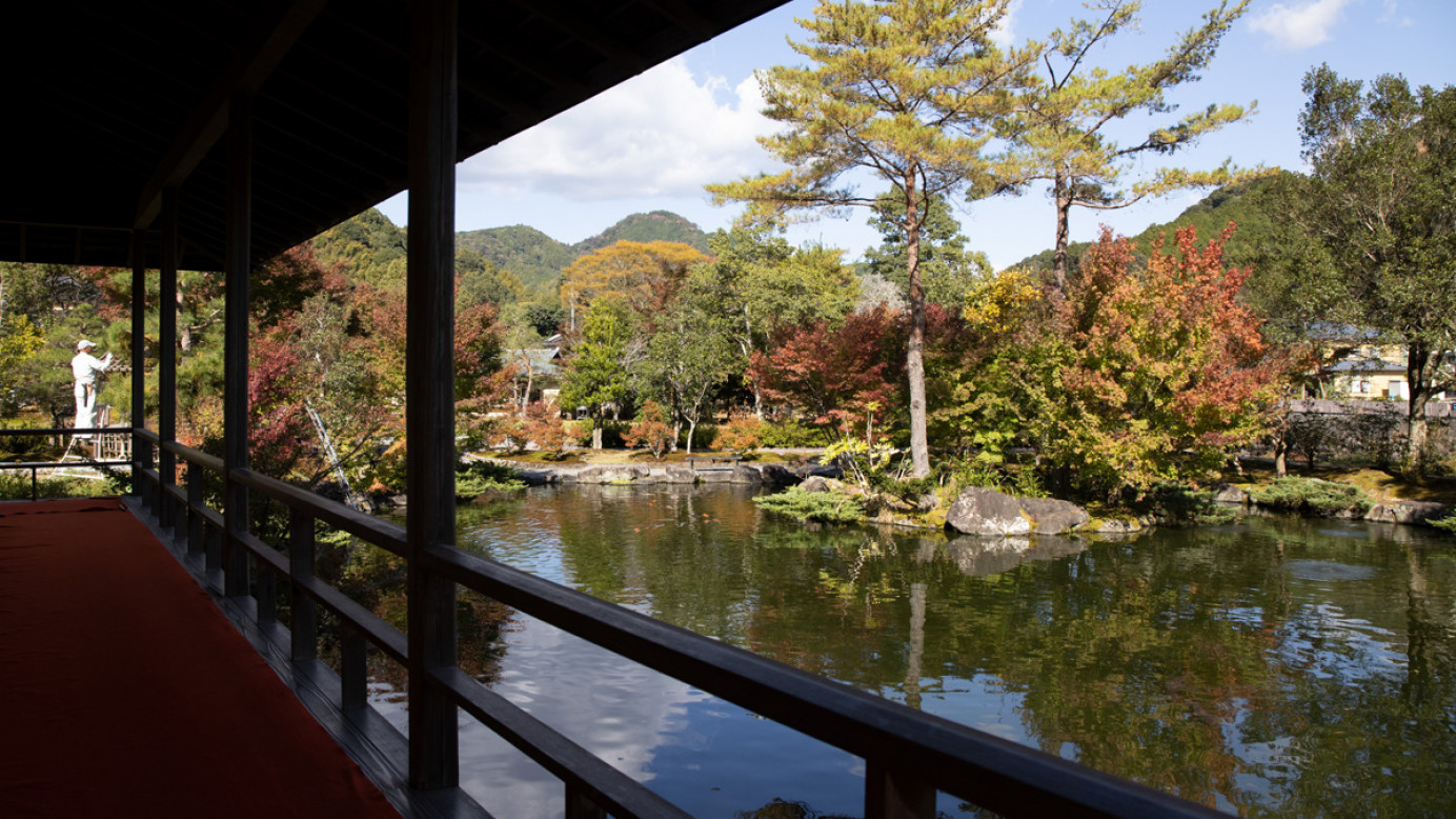 在玉露之里露台俯瞰著池塘和種植園。